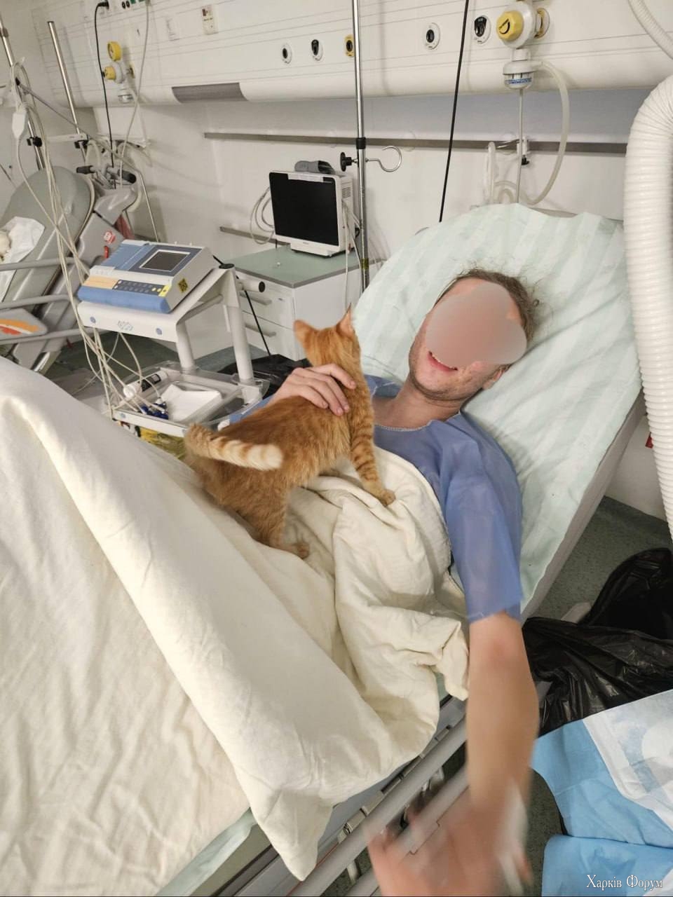 Котенок-спаситель 2.jpg