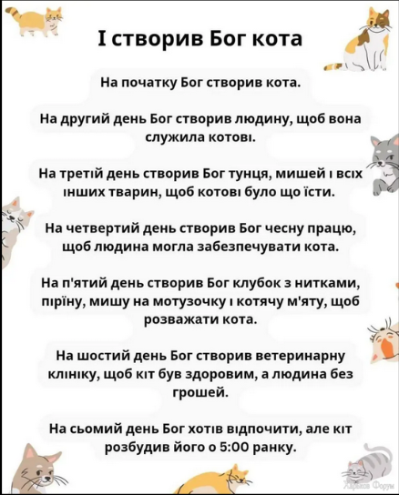 котоб.PNG