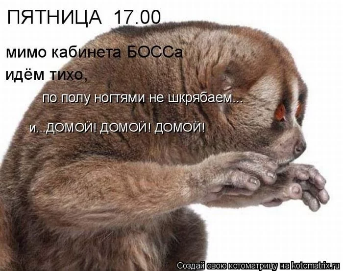 kotomatrix_09.webp
