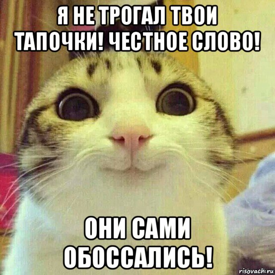kotyaka-ulibaka_82977039_orig_.jpg