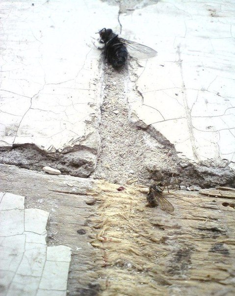 kP321qUxRuw.jpg