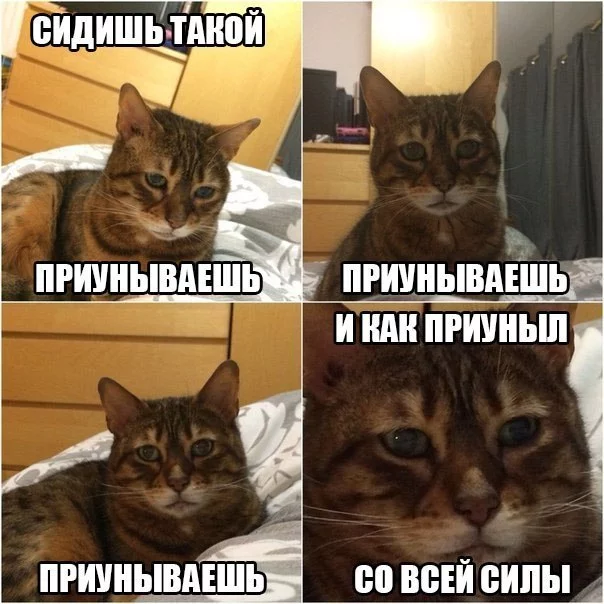 KpiUd1fwwHM.webp