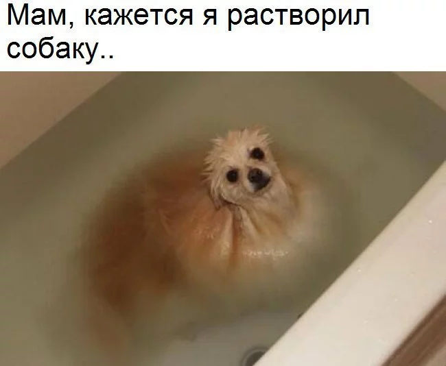 KrKanxbFuq8.webp