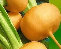 krn_img_ndiwkd.webp