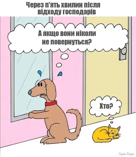 KRNS8_BO7oAZehw&_nc_zt=23&_nc_ht=scontent.fiev25-2.webp