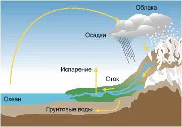 krugovorot-vody-v-prirode.webp