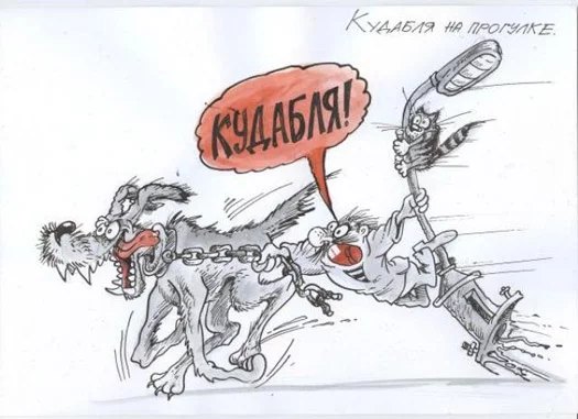 kudablya.webp
