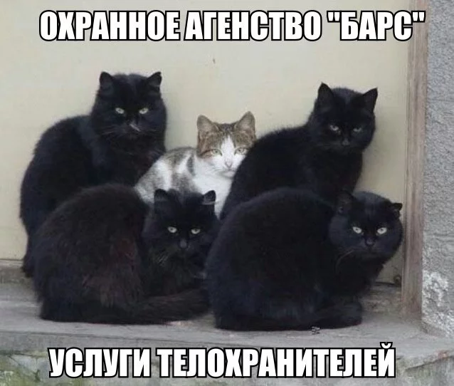 kum9CCDaVFA.webp