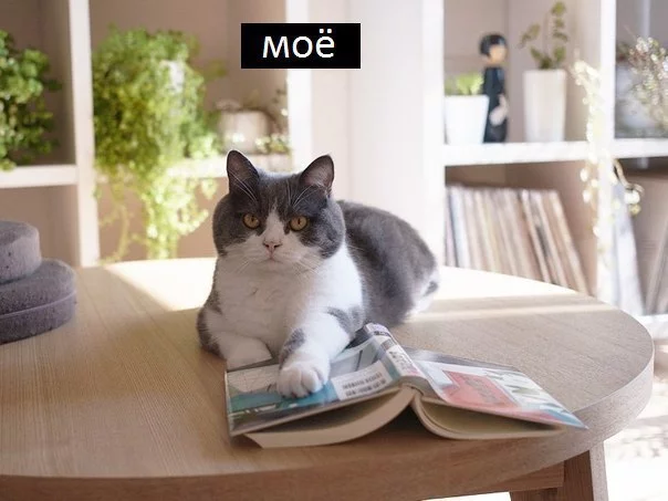 kvdpCKeGquI.webp