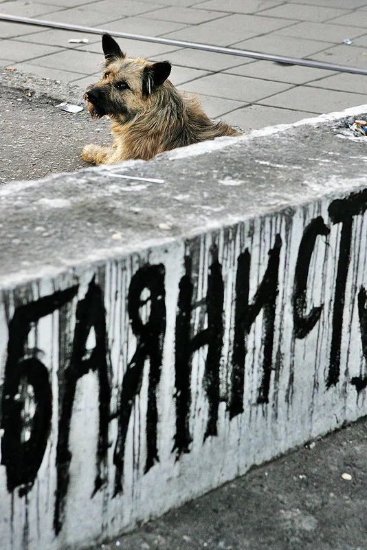 kvkz_02.webp