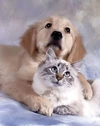 kW9V0Uw99skXsA1CndDIf4SQNNZyWeoROUGfKxi30abdwHybdQ.webp