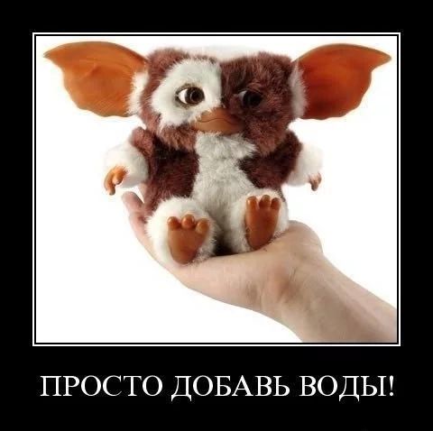 Kx9XrsyRTdg.webp