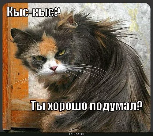 kys-kys_1280978279.webp