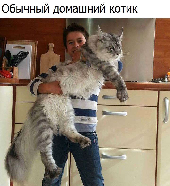 L9oEbaKmgq0.jpg