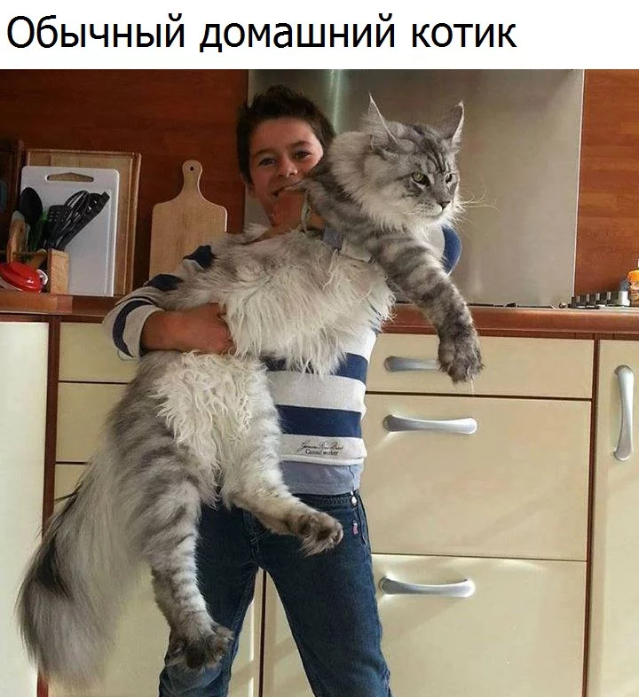 L9oEbaKmgq0.webp