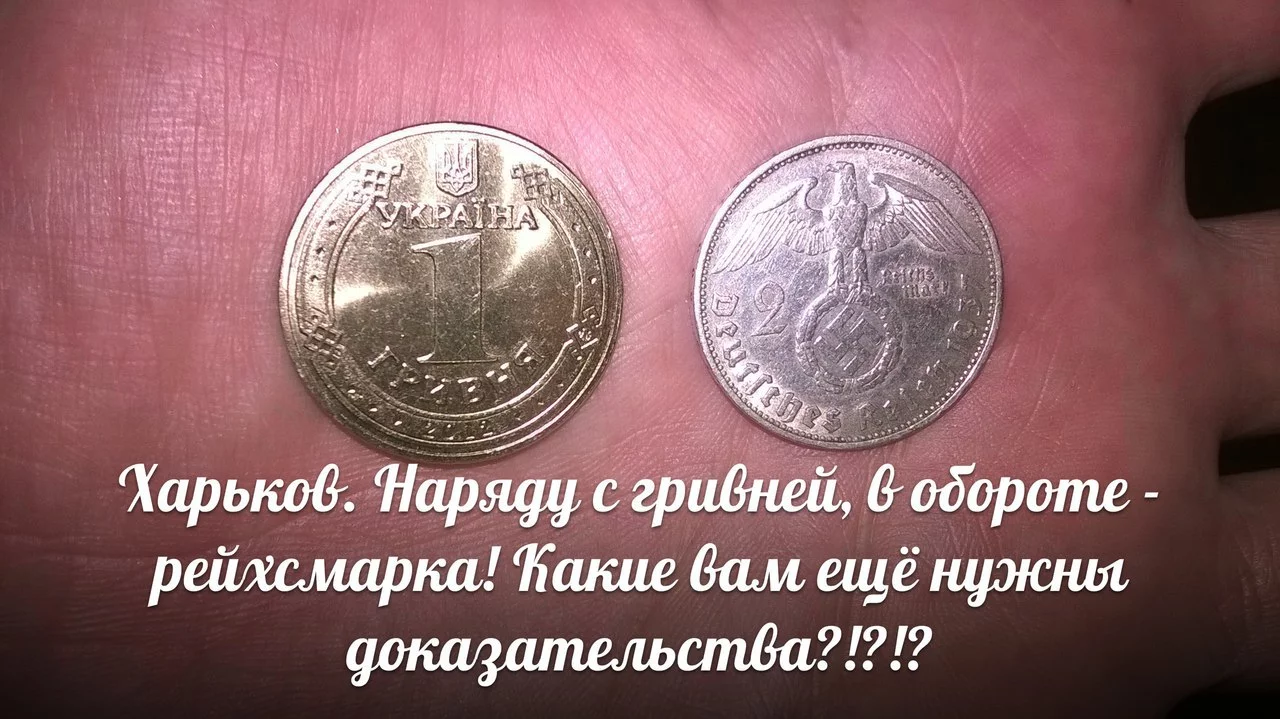 l9YoC447TVQ.webp