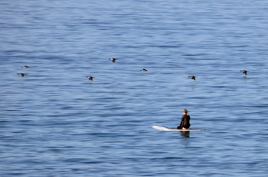 la-jolla-2014-12-003.webp