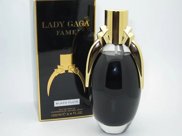Lady-Gaga-Fame.webp