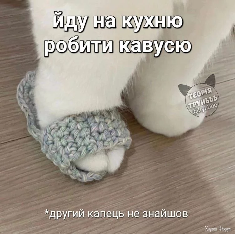  лапки_кава.webp