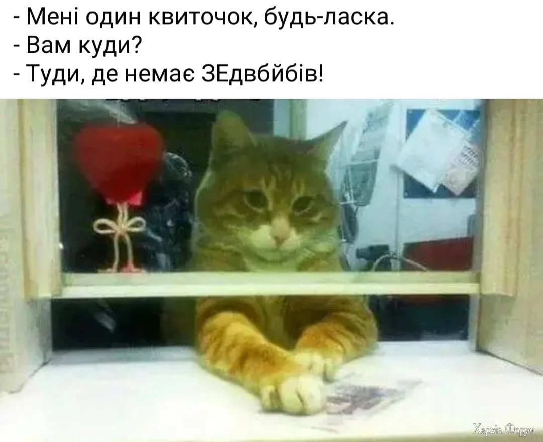 LBEIQ7kNvgH_YVG-&_nc_zt=23&_nc_ht=scontent.fhrk8-1.webp