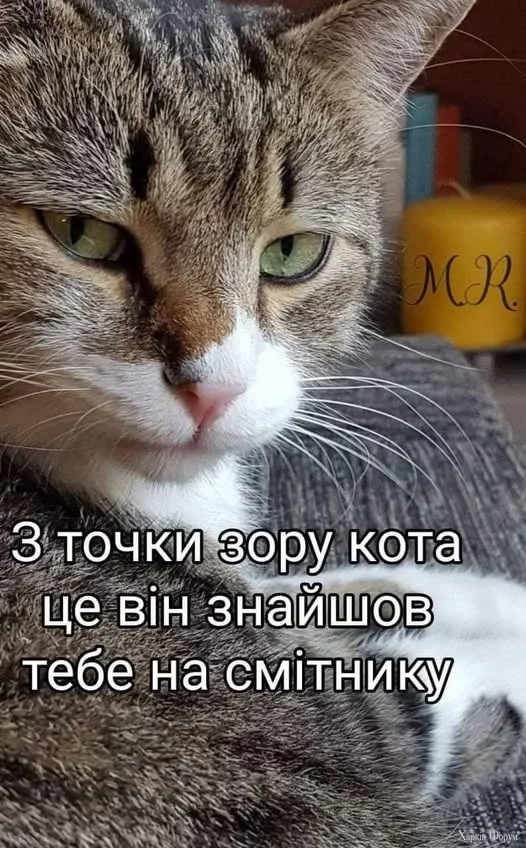 lCodxTpmuX809g0&_nc_zt=23&_nc_ht=scontent.fiev25-2.webp