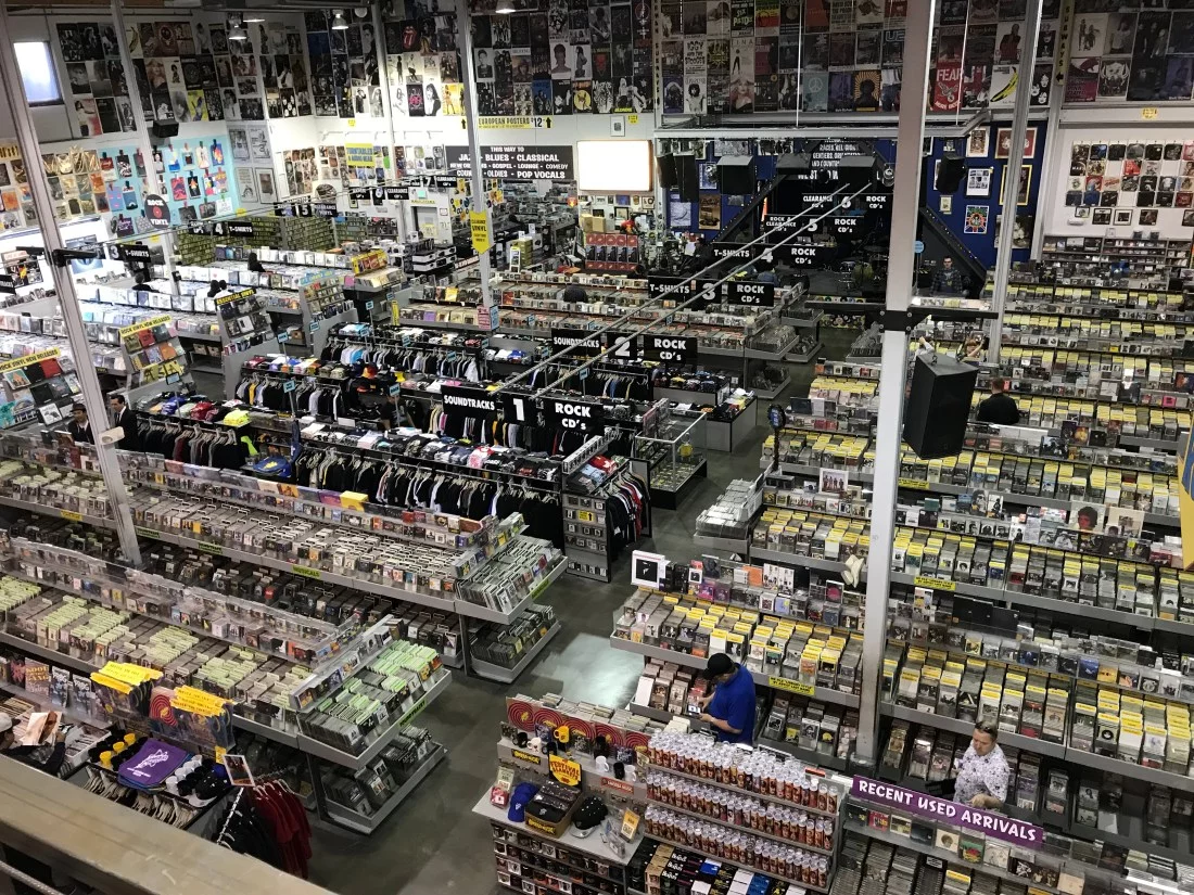 LDN-L-AMOEBA-0427-1.webp