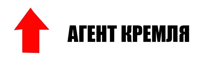 LE2JU0sg_-Y.webp