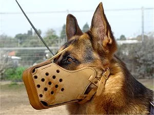 leather-dog-muzzle-agitation-bar-tan.webp