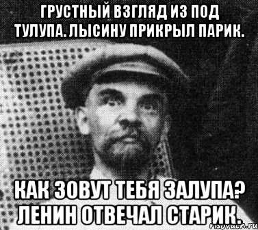 lenin_56214118_orig_.webp