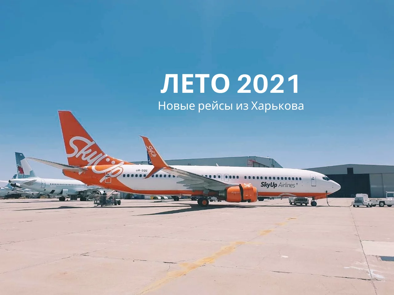 leto-2021-1.webp