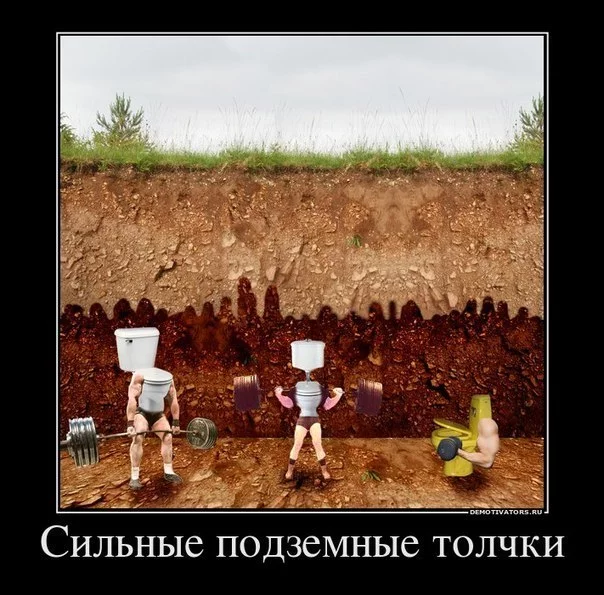lgqoD7Bi4AY.webp