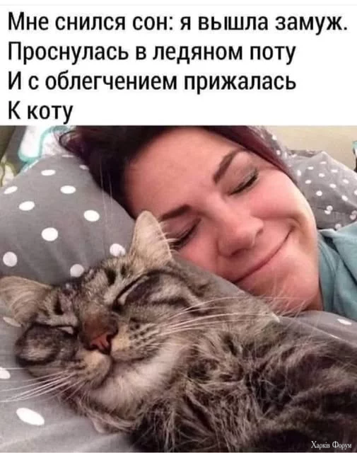 lgWE25W6kmZXxkE&_nc_zt=23&_nc_ht=scontent.fiev25-1.webp
