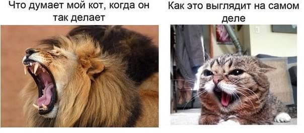 Li0ub--Scu0.jpg