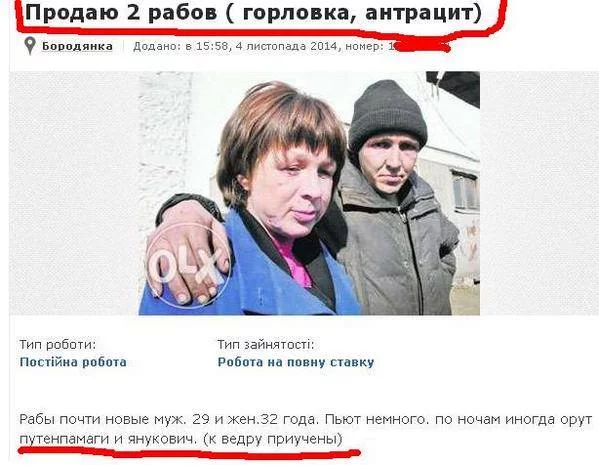 LjePlA4xPrQ.webp