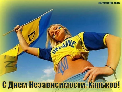 LK57N1Nn2yg.webp