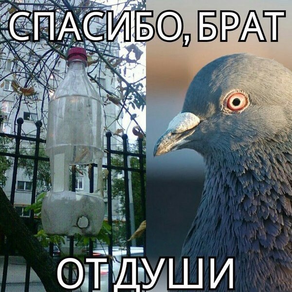 llLO32GKylQ.jpg