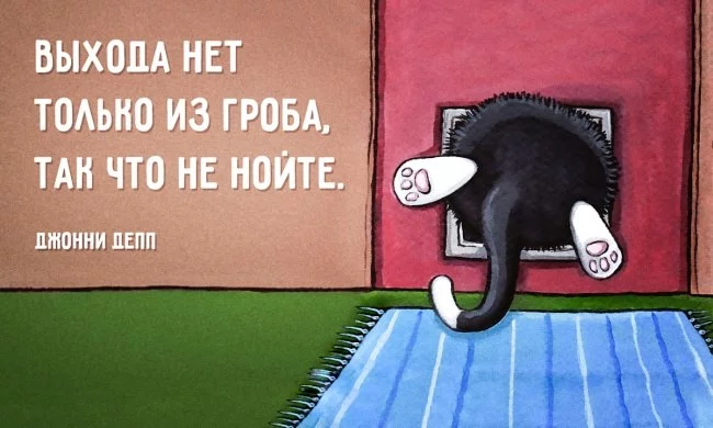 LMq-M0MwRCQ.webp