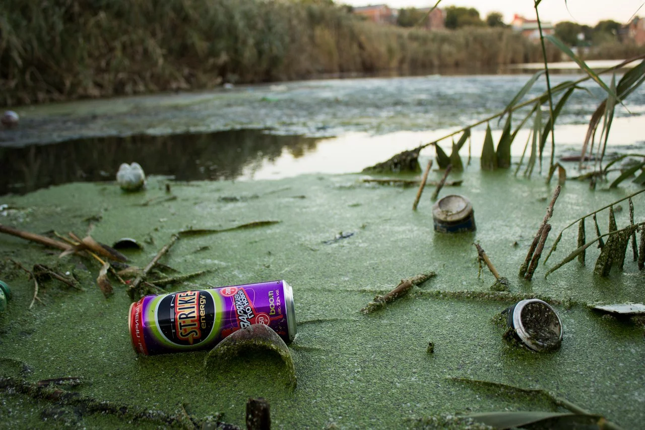 LnPSsddoDqw.webp LnPSsddoDqw.webp