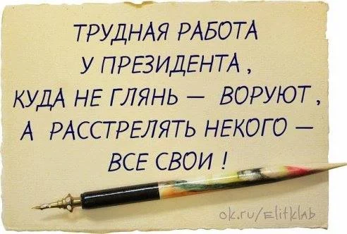 lOoeJzz5TKU.webp
