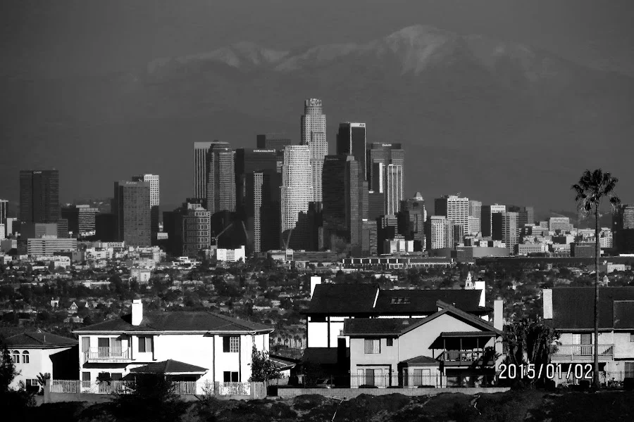 los-angeles-view.webp