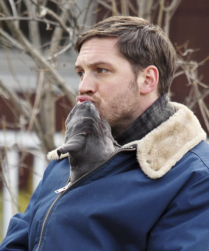 love-for-dogs-tom-hardy-8-59bf7279b94c6__700.webp