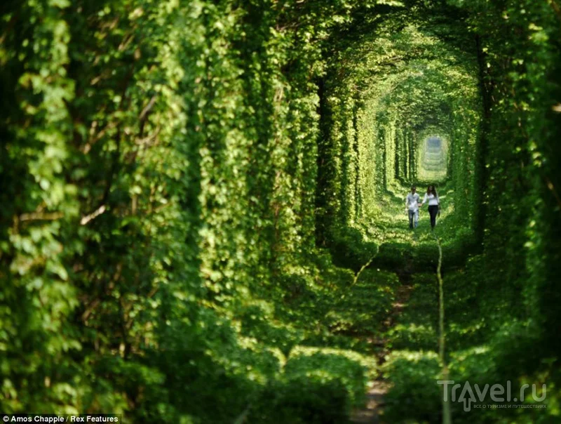 love_tunnel_01.webp
