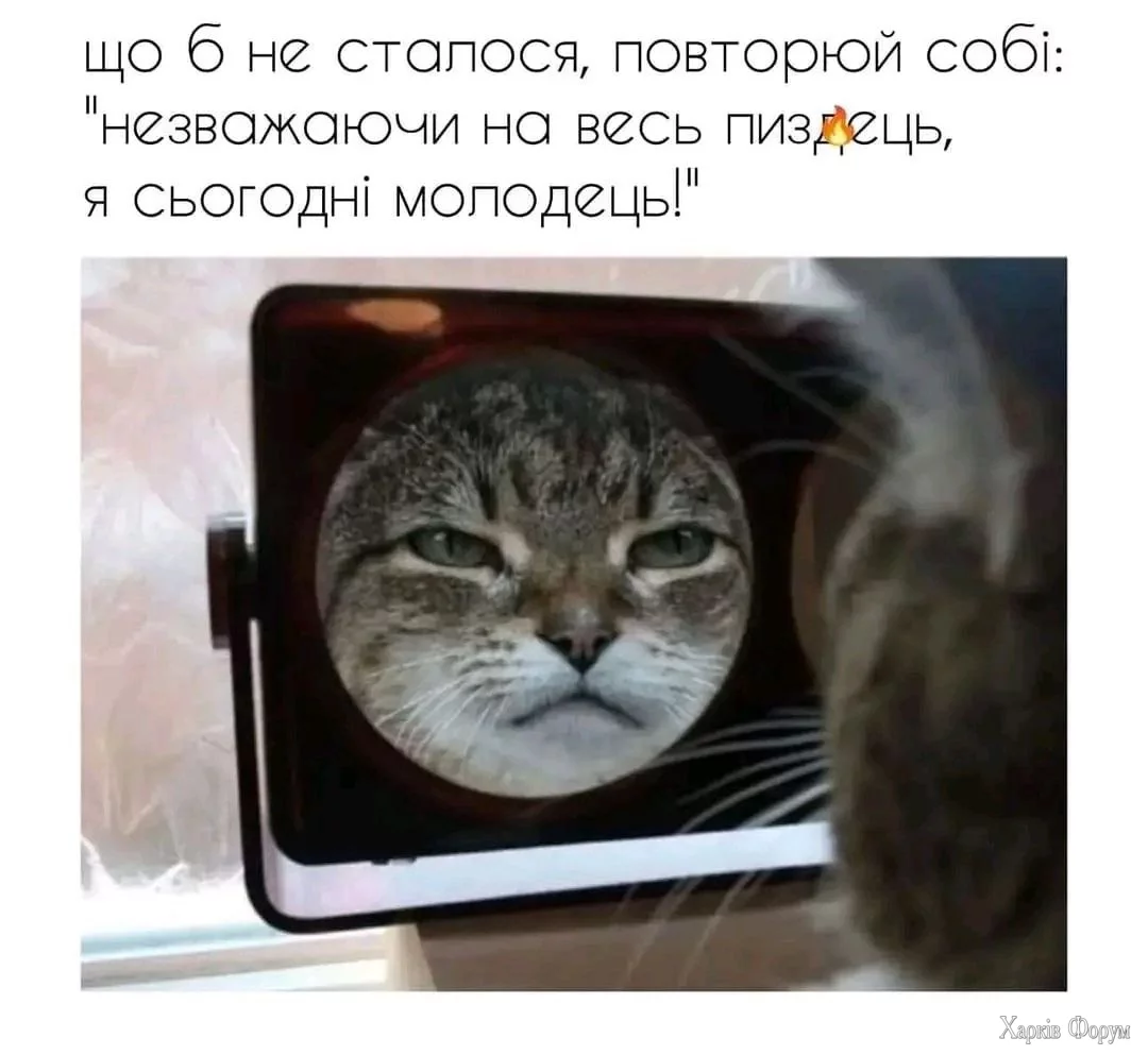 Lqk1cdguTk42lrw&_nc_zt=23&_nc_ht=scontent.fiev25-1.webp
