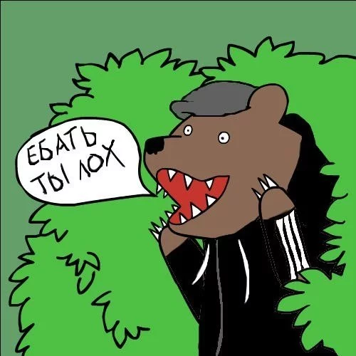 lQLQ7reXaIo.webp
