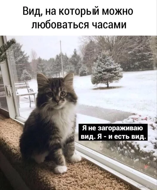 Lqpdv7YrXBSGF8Y&_nc_zt=23&_nc_ht=scontent.fiev28-1.webp