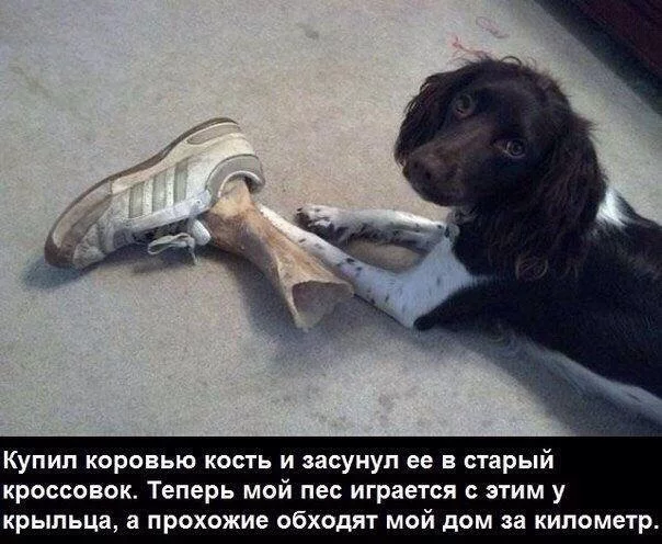 LtMAuBuULmU.webp