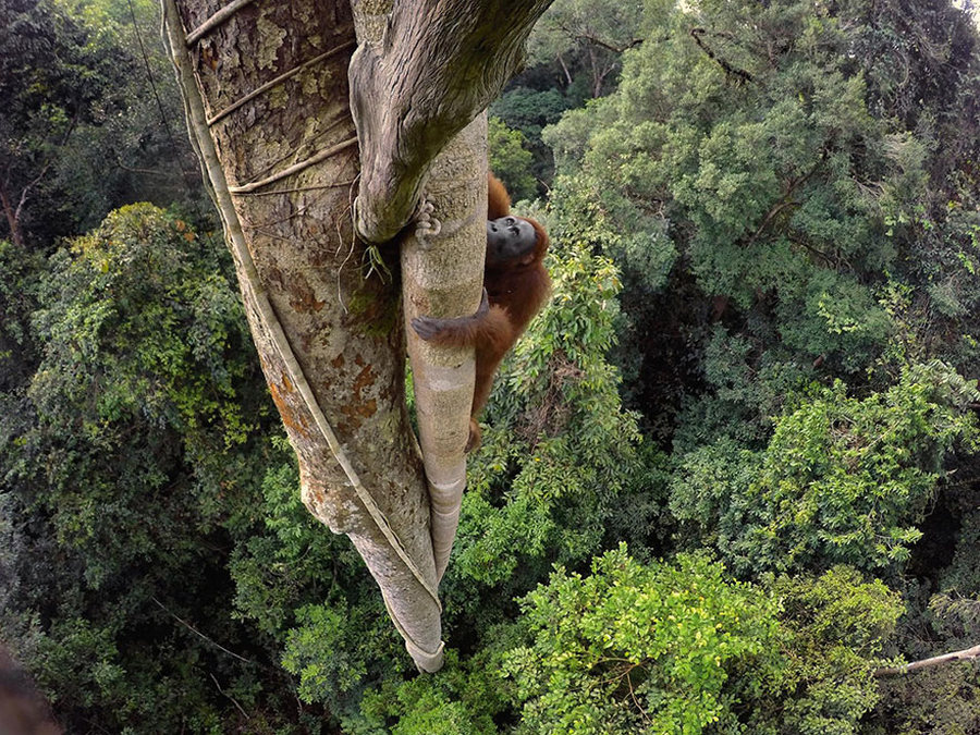 luchshikh_fotografij_goda_ot_national_geographic_3.jpg