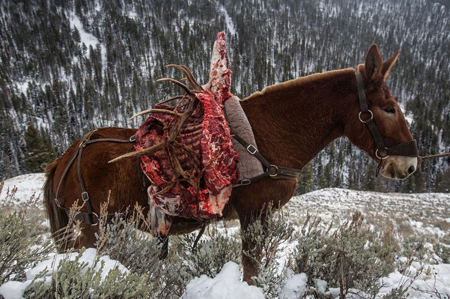 Luchshikh_fotografij_goda_ot_national_Geographic_6.jpg