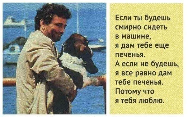 LVOP6g9ruxA.webp
