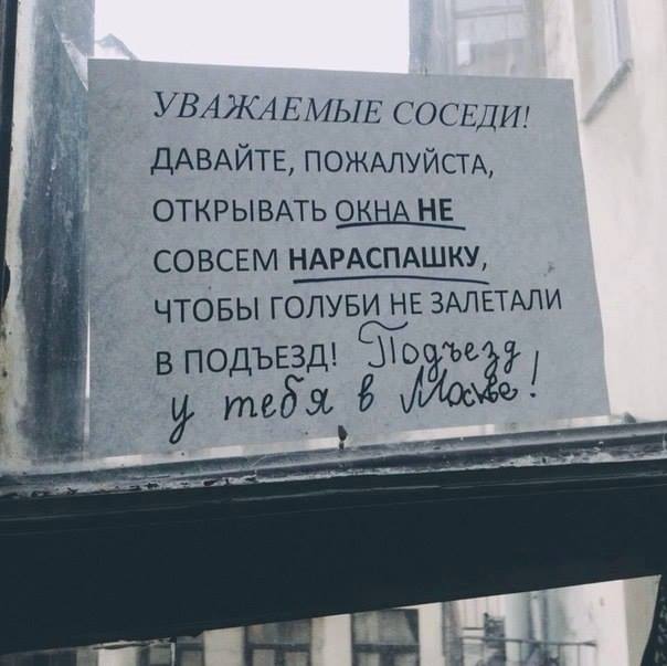 LVUUGXPr2AQ.jpg